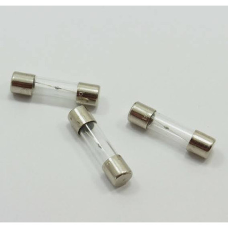GLASS TUBE FUSE 5x20mm 40mA 250V