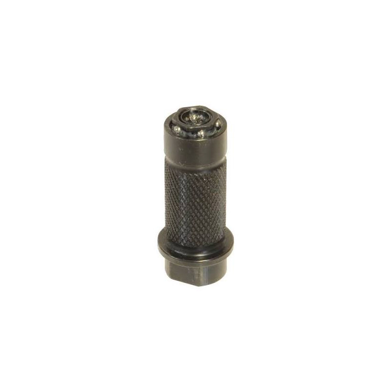 Agraphie hydraulique pour pompe a graisse ( M10 femelle )