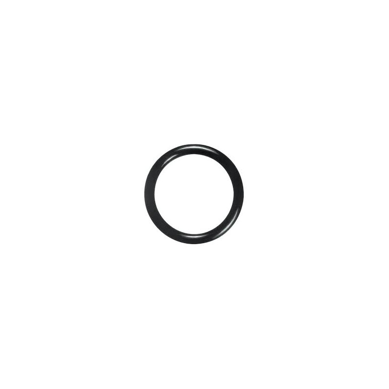 O-RING for Primary FO Filter