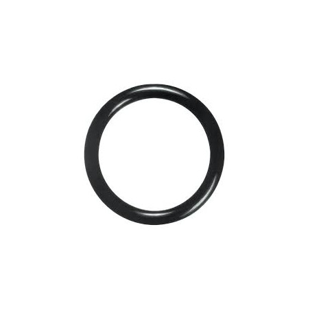 O-RING for Primary FO Filter