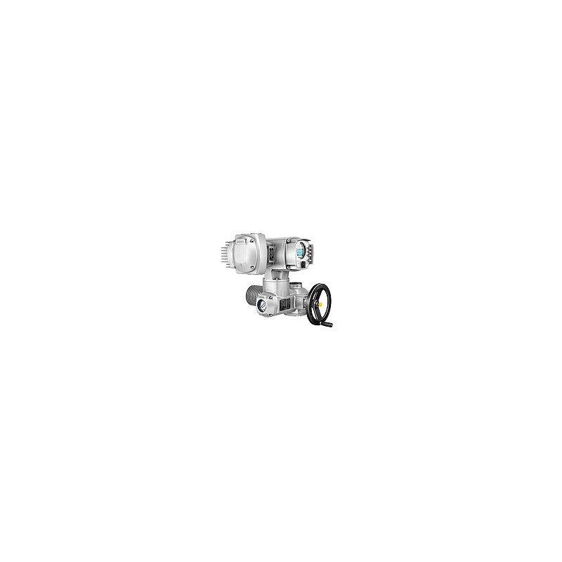ELECTRICAL MULTI TURN ACTUATOR