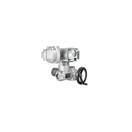ELECTRICAL MULTI TURN ACTUATOR