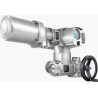 ELECTRICAL MULTI TURN ACTUATOR