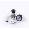 Fuel pressure regulator valve