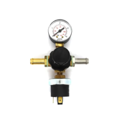 Fuel pressure regulator valve